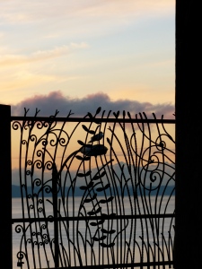 Bird, Fence, Sunset