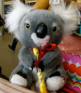 Tutu, koala