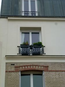 Paris, France, neighborhood, 19th arrondissement, street scene, window, flower box
