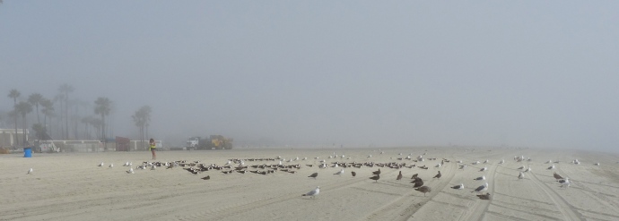Long Beach, beach, fog